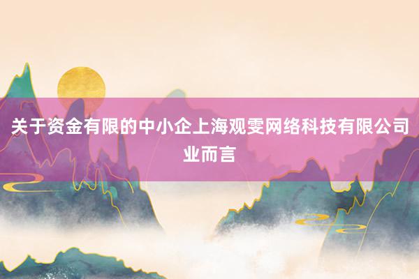 关于资金有限的中小企上海观雯网络科技有限公司业而言